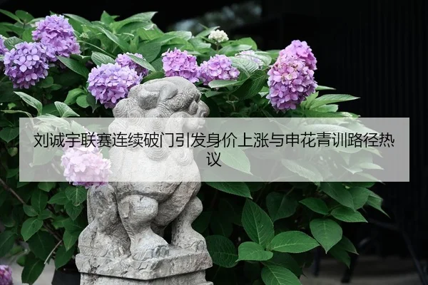 刘诚宇联赛连续破门引发身价上涨与申花青训路径热议