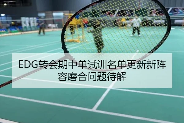 EDG转会期中单试训名单更新新阵容磨合问题待解